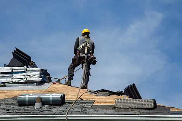 Professional Roofing technician working in Canova, SD